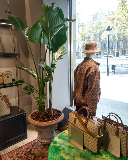 gucci-tienda-3_02