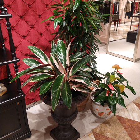 gucci-tienda-3_02