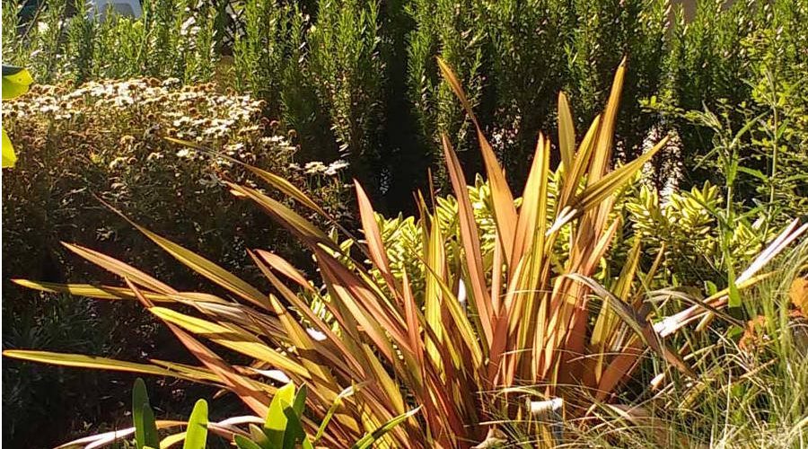 parterres_mixtos-900x500